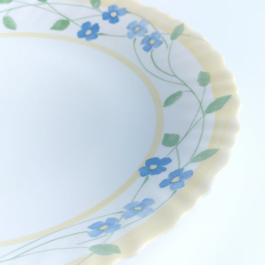 Close up view of the rim of a white tempered glass dinner plate with blue flower on yellow rim by Arcopal France on a white background